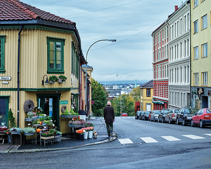 Bortettslag og trebygg.